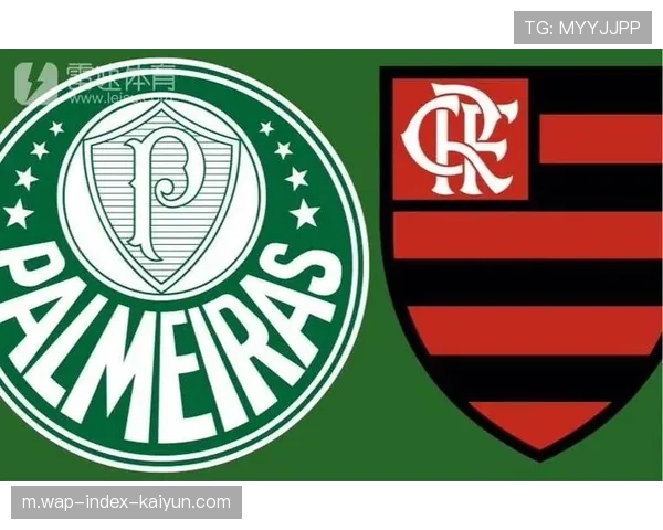 巴西弗拉门戈四将进入备选名单 伤病递补机制增加阵容深度